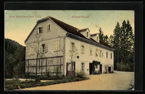 AK Bad Neuhaus b. Cilli, Wiesenhaus