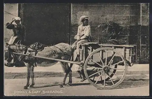 AK Barbados, Donkey & Cart