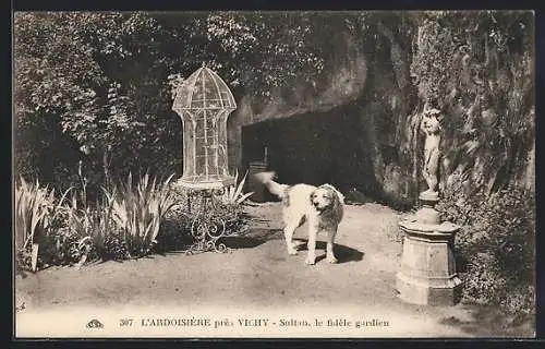 AK L`Ardoisiere, Sultan, le fidele gardien
