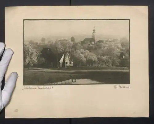 Fotografie Helmut Gessner, Graz, Titel: Blühende Landschaft, Bromölumdruck, Salon Intern. de Fotografia Madrid 1925