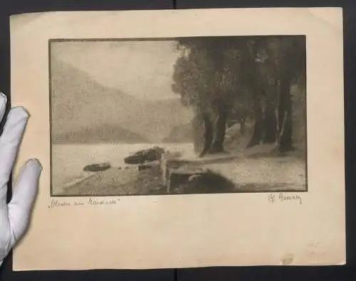 Fotografie Helmut Gessner, Graz, Titel: Oliven am Gardasee, Bromölumdruck, Signiert, Salon Intern. de Fotografia 1925