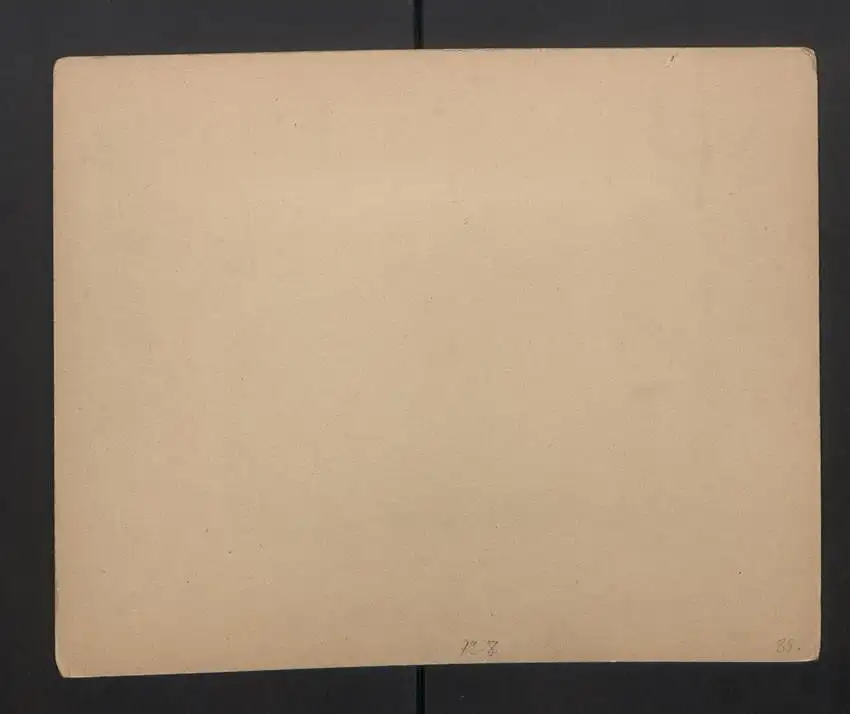 Fotografie unbekannter Fotograf und Ort, Taubenzüchter mit Vogelreuse und Taubenschlag auf dem Dach, Blick über den Ort 1