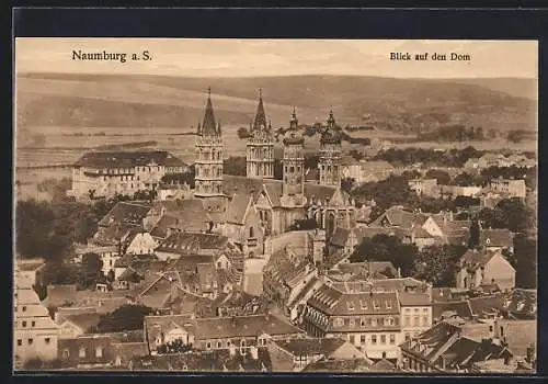 AK Naumburg / Saale, Blick über die Dächer der Ortschaft auf den Dom