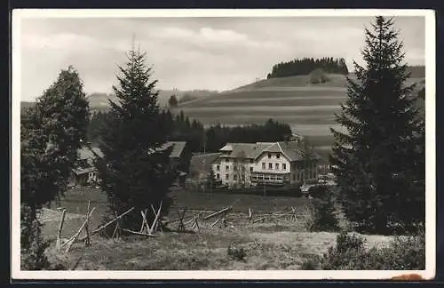 AK Breitnau /Hinterzarten, Gasthof und Pension Ravennaschlucht