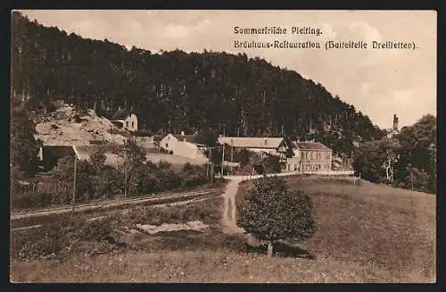 AK Piesting, Bräuhaus-Restauration, Haltestelle Dreistetten