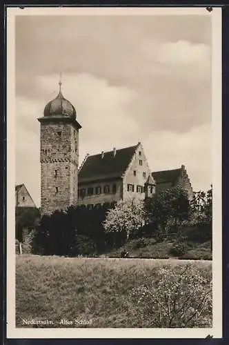 AK Neckarsulm, Altes Schloss