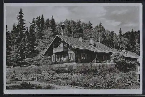 AK Alpl bei Krieglach, Partie bei Rosegger`s Waldschule