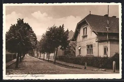 AK Langenzersdorf, Tutzgasse mit Bäumen