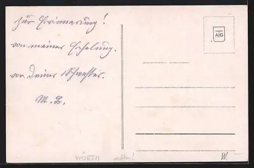 AK Rauris, Wörth aus der Vogelschau, Ortspartie und Strassenpartie