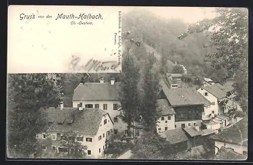 AK Mauth-Haibach, Dachs-Weinhaus