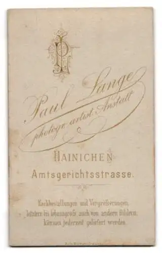 Fotografie Paul Lange, Hainichen, Amtsgerichtsstrasse, Junger Mann mit ernster Miene