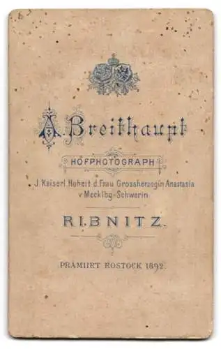 Fotografie A. Breithaupt, Ribnitz, Porträt eines jungen Mannes im Anzug