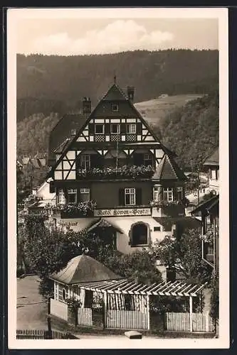 AK Alpirsbach i. Schw., Blick auf das Hotel Löwen-Post