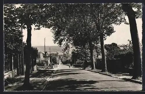 AK Château-Thierry /Aisne, Avenue de Soissons