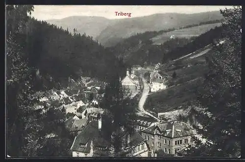 AK Triberg, Ortsansicht aus der Vogelschau