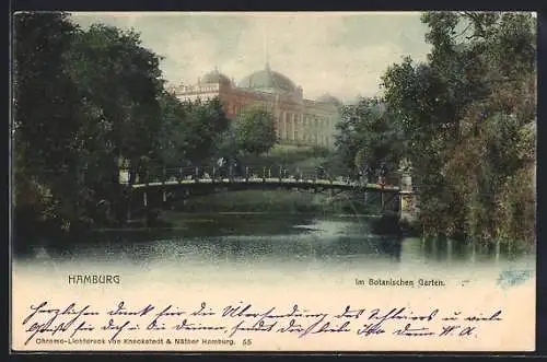 AK Hamburg-St.Pauli, Partie im Botanischen Garten