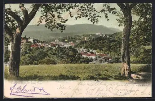 AK Baden-Baden, Ortsansicht mit Bergen v. Echo