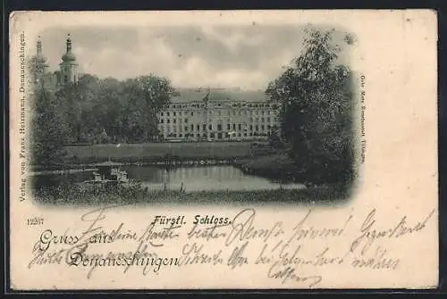 AK Donaueschingen, Fürstliches Schloss