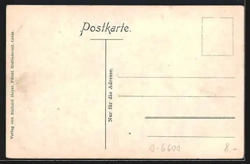 AK Greiz, Ortsansicht aus der Vogelschau