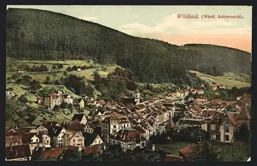 AK Wildbad /Württ. Schwarzwald, Ortsansicht aus der Vogelschau