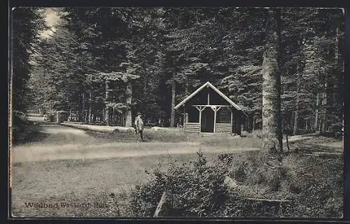 AK Wildbad / Schwarzwald, Wasserfall Hütte im Wald