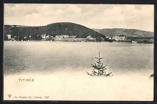 AK Titisee, Blick auf den See