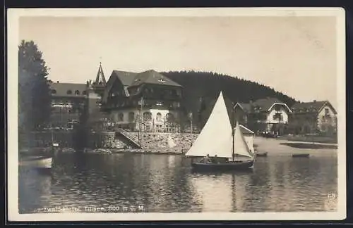 AK Titisee / Schwarzwald, Uferpartie mit Hotel Titisee