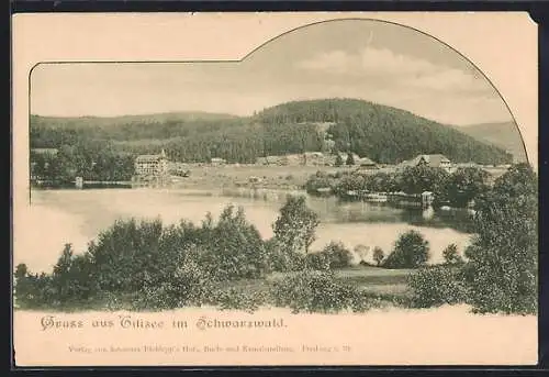 AK Titisee /Schwarzwald, Ortsansicht mit See und Bergen