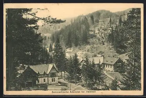 AK Ramsau /N.-Oe., Adamstal bei Hainfeld, Teilansicht