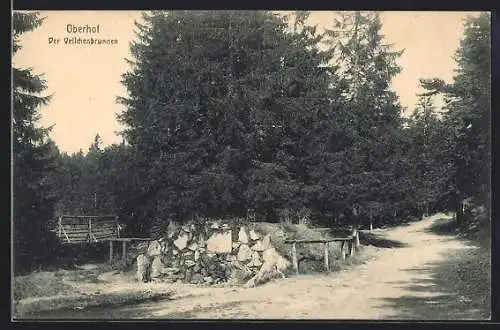 AK Oberhof / Thüringen, Waldweg am Veilchenbrunnen