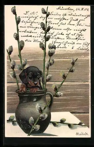 Künstler-AK Alfred Mailick: Dackel in Vase mit Kätzchenzweigen