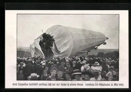 AK Göppingen, Luftschiff-Zeppelin verfängt sich in einem Baum am 31. Mai 1909