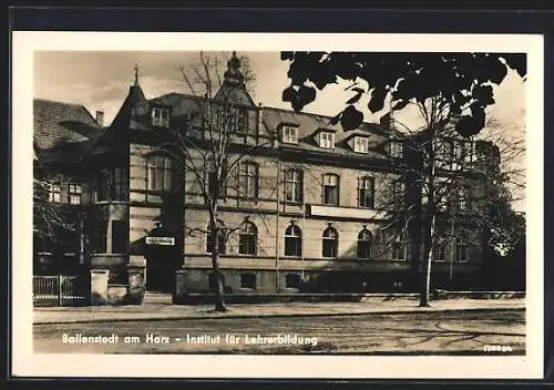 AK Ballenstedt, Institut für Lehrerbildung