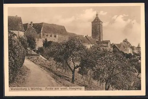 AK Waldenburg i. Württbg., Partie am westl. Haagweg