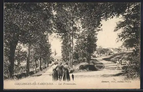 AK Coulonges-en-Tardenois, Les Promenades