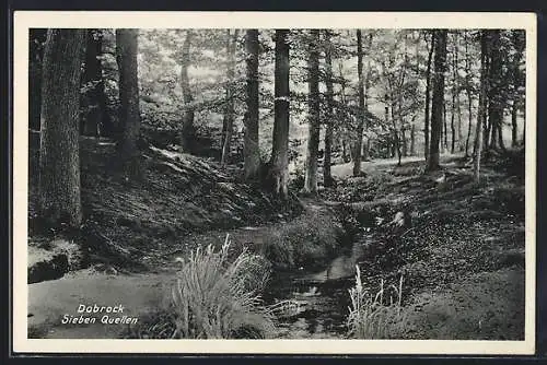 AK Dobrock, Sieben Quellen