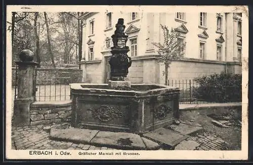 AK Erbach i. Odw., Gräflicher Marstall mit Brunnen