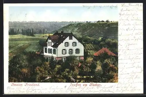 AK Lauffen / Neckar, Gasthaus Friedland