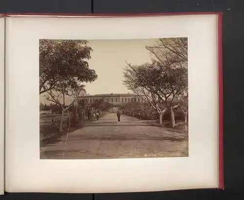 Fotoalbum mit 27 Fotografien, Ansicht Alexandria, Orient-Reise 1890, Tracht, Adelphoi Zangaki, Luigi Fiorillo, Danseuse