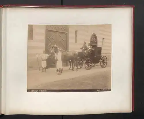 Fotoalbum mit 27 Fotografien, Ansicht Alexandria, Orient-Reise 1890, Tracht, Adelphoi Zangaki, Luigi Fiorillo, Danseuse