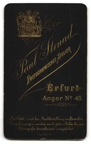 Fotografie Paul Strnad, Erfurt, Anger 43, Porträt eines jungen Mannes mit Locken und Schnurrbart