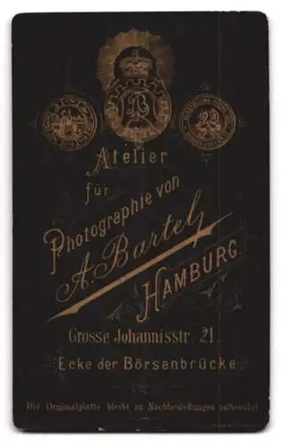 Fotografie A. Bartel, Hamburg, Grosse Johannisstr 21, Porträt einer jungen Frau in elegantem Kleid