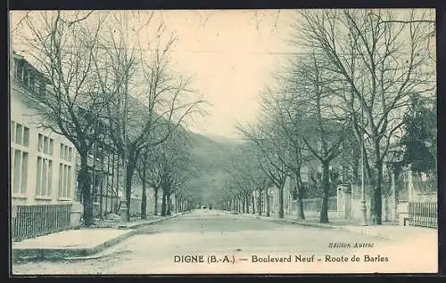 AK Digne /B.-A., Boulevard Neuf, Route de Barles