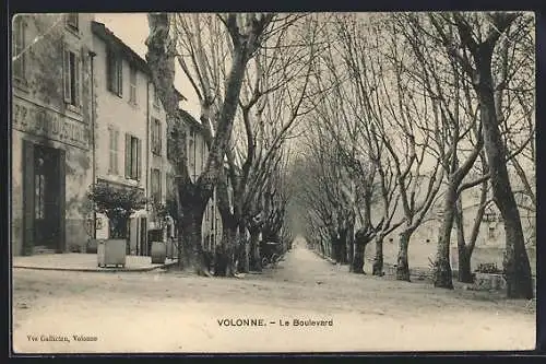 AK Volonne, Le Boulevard