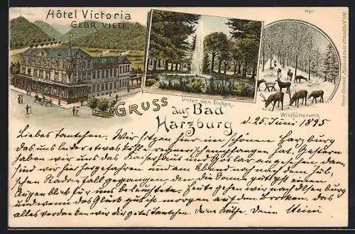 Vorläufer-Lithographie Bad Harzburg, 1895, Hotel Victoria, Unter den Eichen, Wildfütterung