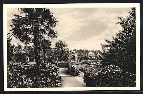 AK München-Nymphenburg, Botanischer Garten, Blick über den Schmuckhof zum Kaffeehaus