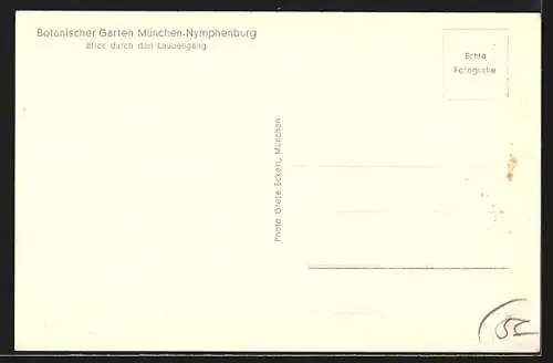 AK München-Nymphenburg, Botanischer Garten, Blick durch den Laubengang