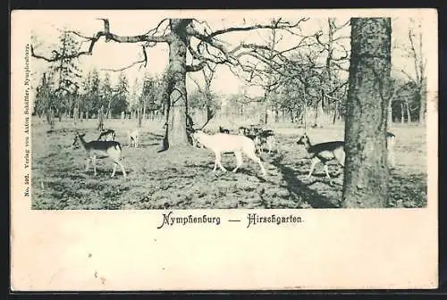 AK Nymphenburg, Hirschgarten