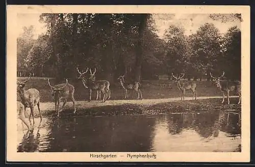 AK Nymphenburg, Partie im Hirschgarten