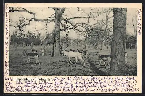 AK München, Nymphenburg-Hirschgarten